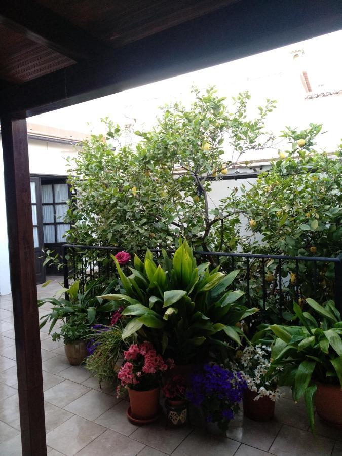 El Patio Andalu Bed & Breakfast Ardales Exterior photo