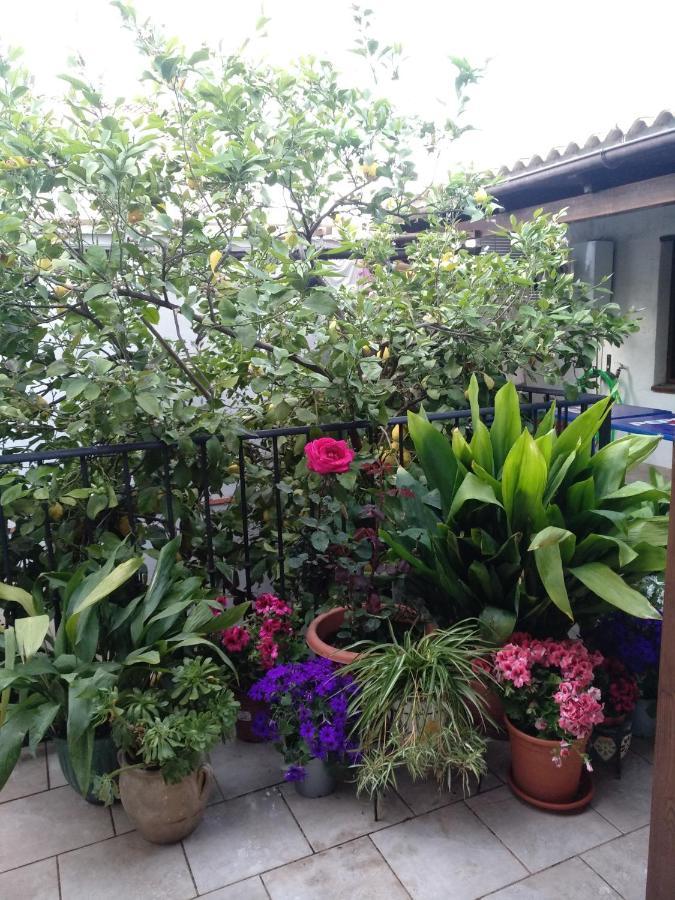 El Patio Andalu Bed & Breakfast Ardales Exterior photo